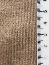 SB18181 Wide Width 18W Corduroy[Textile / Fabric] SHIBAYA Sub Photo