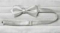 CM-985 Domestic Silk Jacquard Cummerbund Moss Stitch Pattern Light Gray[Formal Accessories] Yamamoto(EXCY) Sub Photo